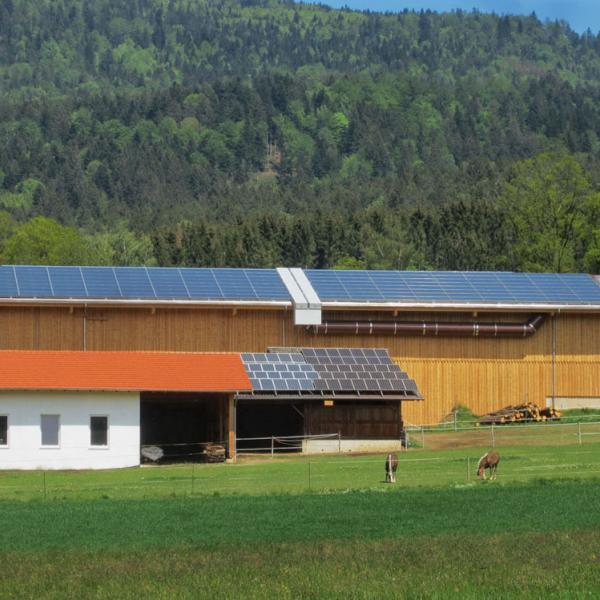 Solare Trocknung von Heu und Biobrennstoffen
